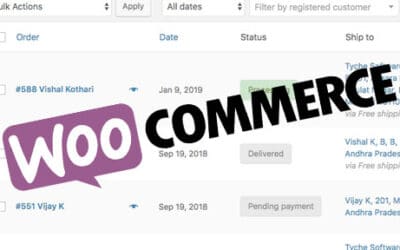 Critical Vulnerability Detected in WooCommerce – Update Now